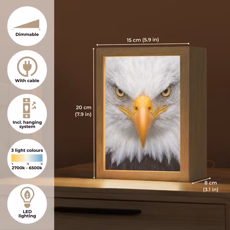 Amerikaans - Zeearend - Portret - Geel Light Box met kabel (Kinderlampje) klein -USP_EN