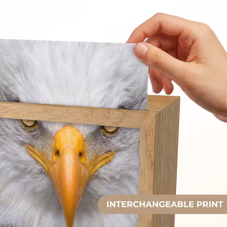 Amerikaans - Zeearend - Portret - Geel Light Box met kabel (Kinderlampje) klein -USP_websiteprintEN