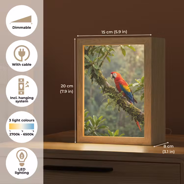 Ara - Jungle - Rood Light Box met kabel (Kinderlampje) klein -USP_EN