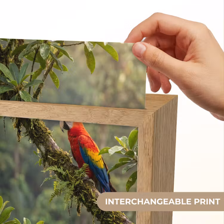 Ara - Jungle - Rood Light Box met kabel (Kinderlampje) klein -USP_websiteprintEN