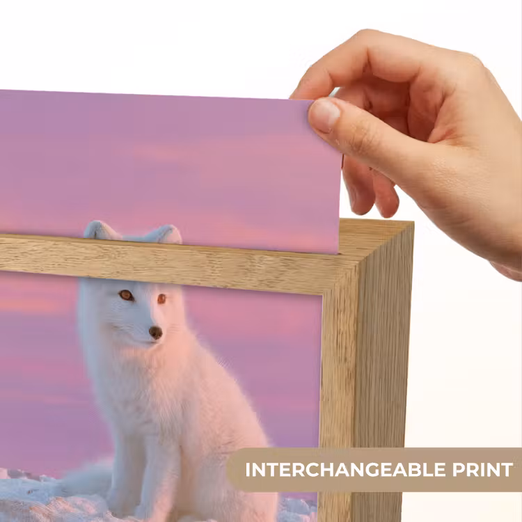 Poolvos - Sneeuw - Roze Light Box met kabel (Kinderlampje) klein -USP_websiteprintEN