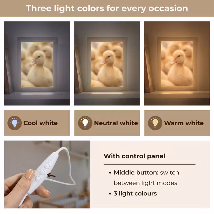 Pijltje - Eend - Natuur - Geel Light Box met kabel (Kinderlampje) klein -USP_lichtkleurEN
