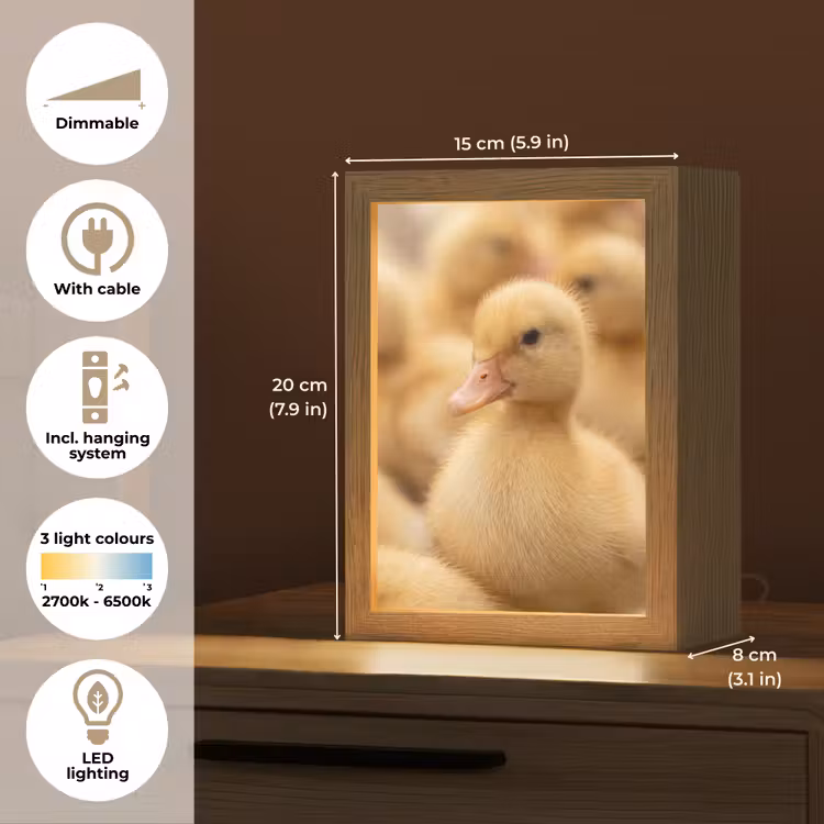 Pijltje - Eend - Natuur - Geel Light Box met kabel (Kinderlampje) klein -USP_EN