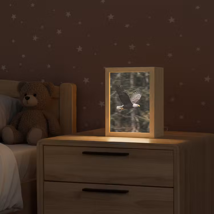 Zeearend - Vliegen - Bos - Natuur Light Box met kabel (Kinderlampje) klein -sfeer1_kind