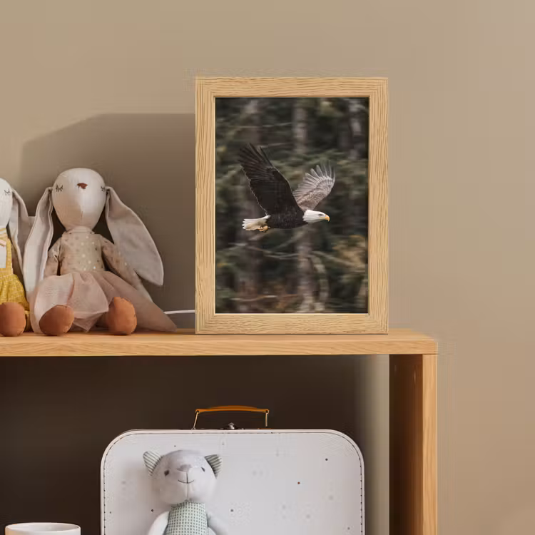 Zeearend - Vliegen - Bos - Natuur Light Box met kabel (Kinderlampje) klein -sfeer2_kind