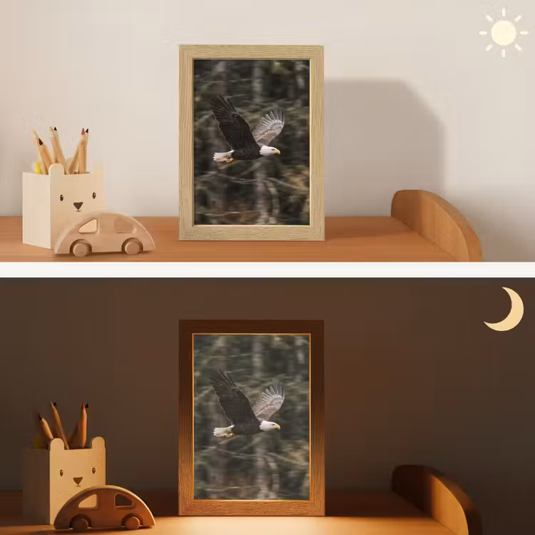 Zeearend - Vliegen - Bos - Natuur Light Box met kabel (Kinderlampje) klein -sfeer3_kind