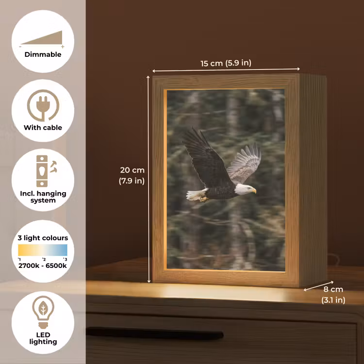Zeearend - Vliegen - Bos - Natuur Light Box met kabel (Kinderlampje) klein -USP_EN