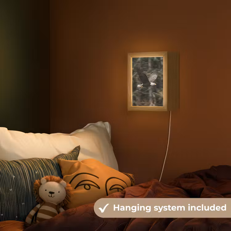 Zeearend - Vliegen - Bos - Natuur Light Box met kabel (Kinderlampje) klein -sfeer5_kind_EN