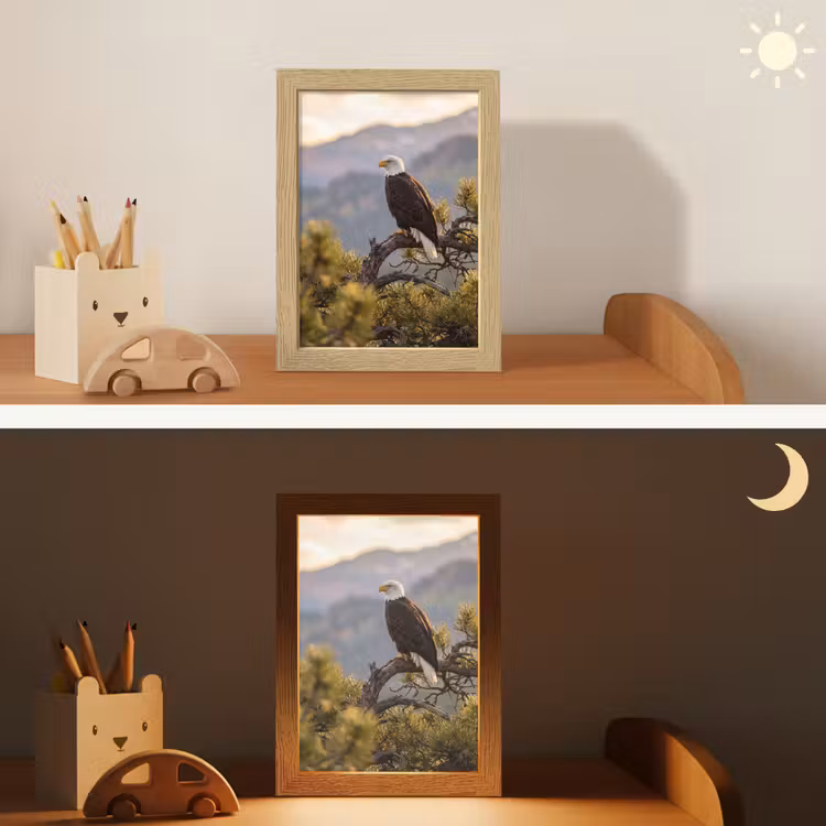 Zeearend - Boom - Bergen - Groen Light Box met kabel (Kinderlampje) klein -sfeer3_kind