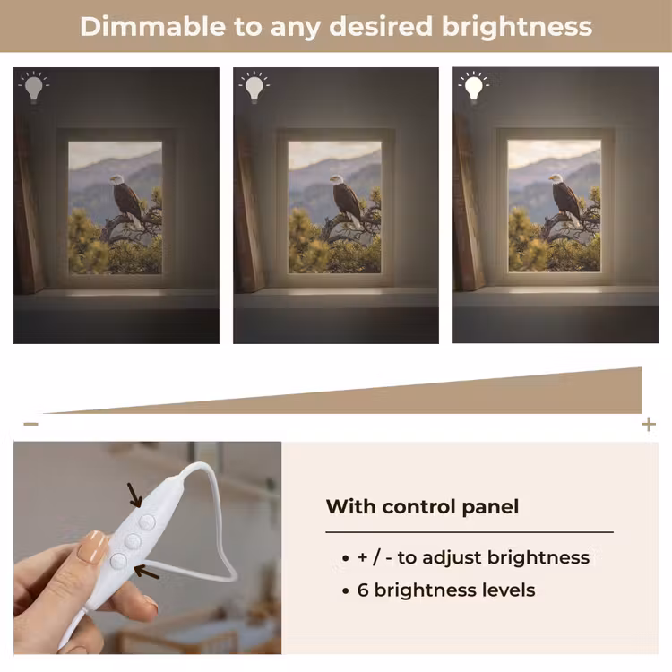 Zeearend - Boom - Bergen - Groen Light Box met kabel (Kinderlampje) klein -USP_dimbaarEN