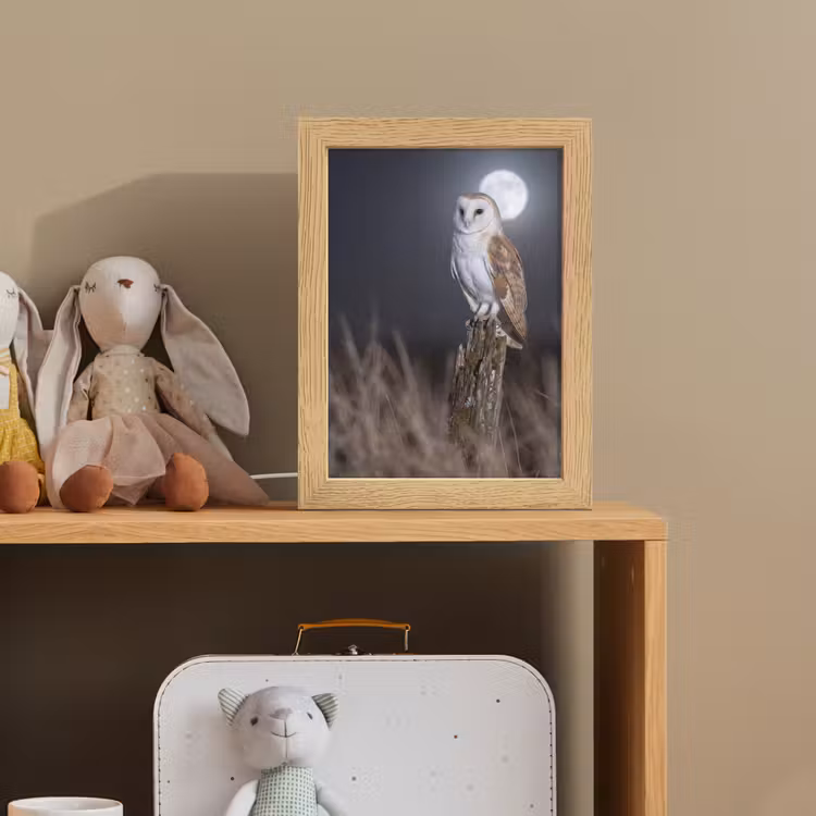 Kerkuil - Maan - Nacht Light Box met kabel (Kinderlampje) klein -sfeer2_kind