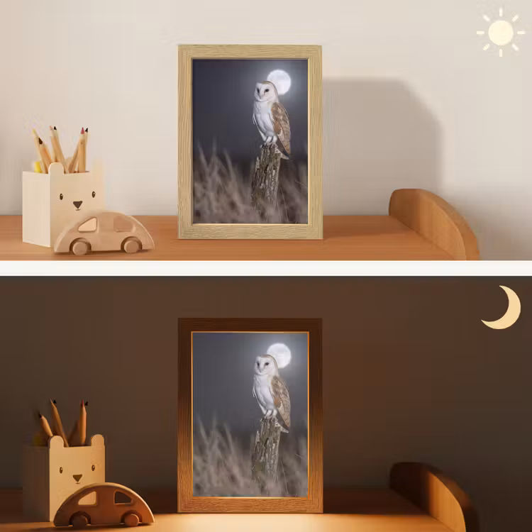 Kerkuil - Maan - Nacht Light Box met kabel (Kinderlampje) klein -sfeer3_kind