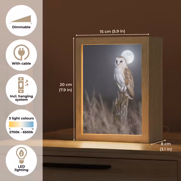 Kerkuil - Maan - Nacht Light Box met kabel (Kinderlampje) klein -USP_EN