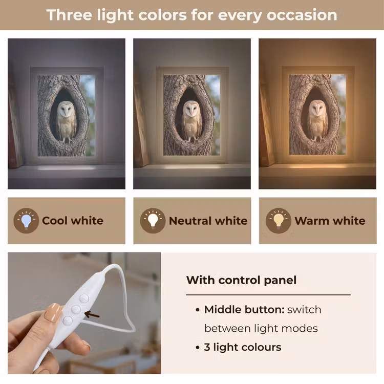 Kerkuil - Boom - Natuur - Bruin Light Box met kabel (Kinderlampje) klein -USP_lichtkleurEN