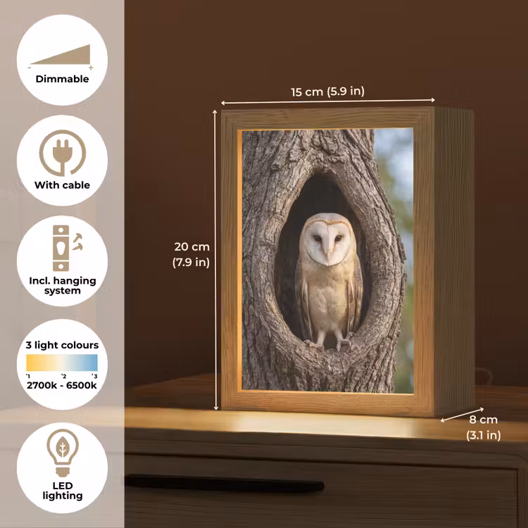 Kerkuil - Boom - Natuur - Bruin Light Box met kabel (Kinderlampje) klein -USP_EN
