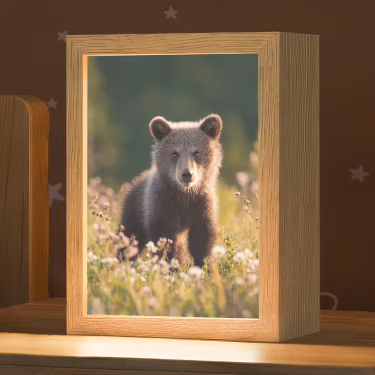 Beer - Bloemenveld - Gras Light Box met kabel klein -zzz_3d_website