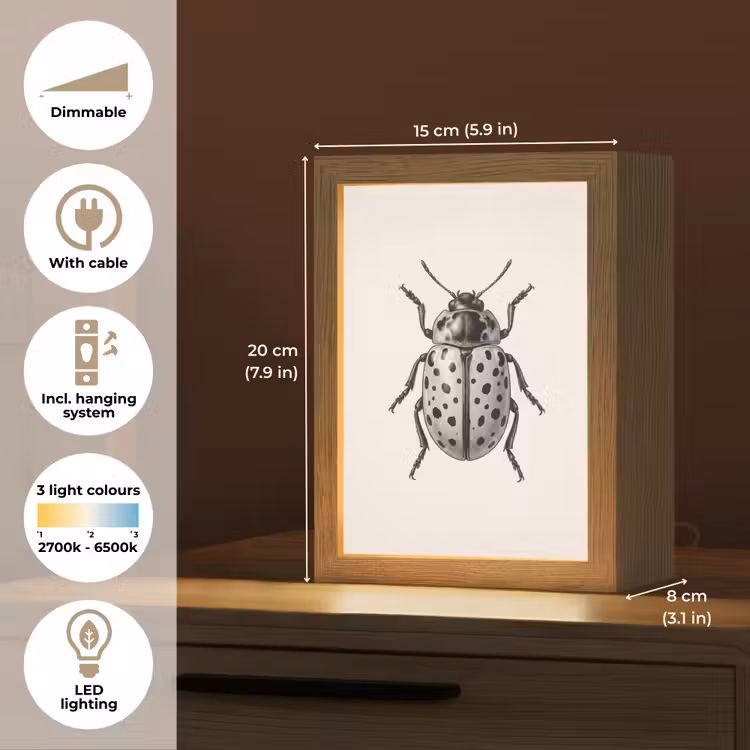 Kever - Insect - Vintage Light Box met kabel (Kinderlampje) klein -USP_EN