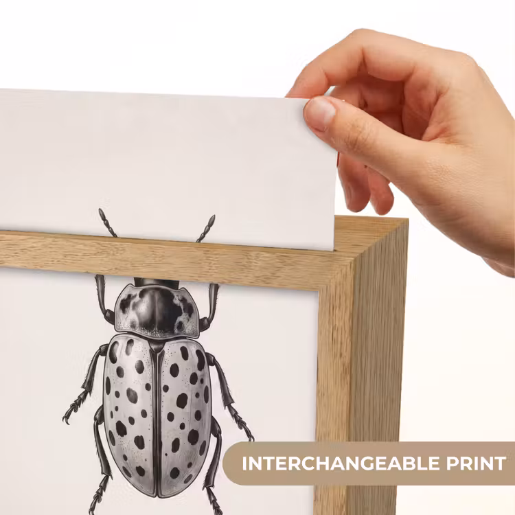 Kever - Insect - Vintage Light Box met kabel (Kinderlampje) klein -USP_websiteprintEN