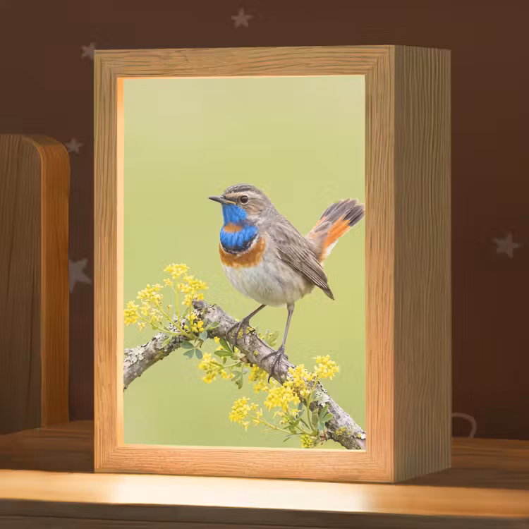 Vogel - Tak - Natuur - Kleurrijk Light Box met kabel (Kinderlampje) klein -zzz_3d_website