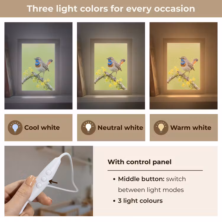 Vogel - Tak - Natuur - Kleurrijk Light Box met kabel (Kinderlampje) klein -USP_lichtkleurEN
