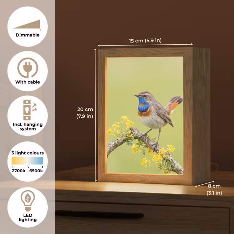 Vogel - Tak - Natuur - Kleurrijk Light Box met kabel (Kinderlampje) klein -USP_EN