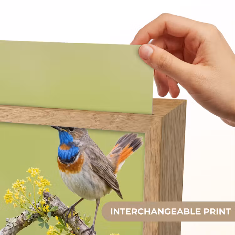 Vogel - Tak - Natuur - Kleurrijk Light Box met kabel (Kinderlampje) klein -USP_websiteprintEN