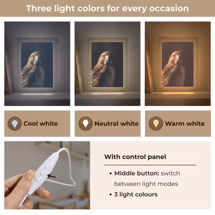 Roofvogel - Buizerd - Bruin Light Box met kabel (Kinderlampje) klein -USP_lichtkleurEN