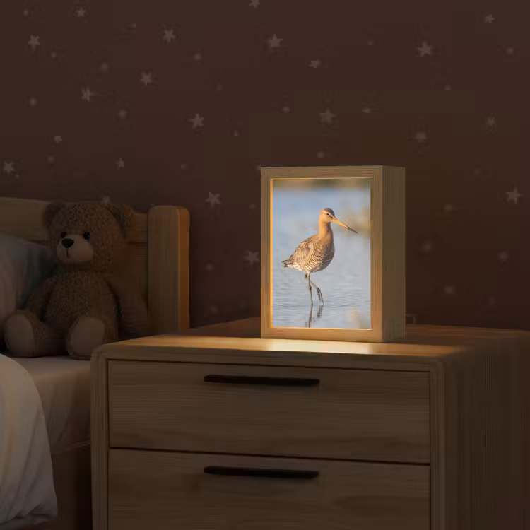 Vogel - Steltloper - Water - Natuur Light Box met kabel (Kinderlampje) klein -sfeer1_kind