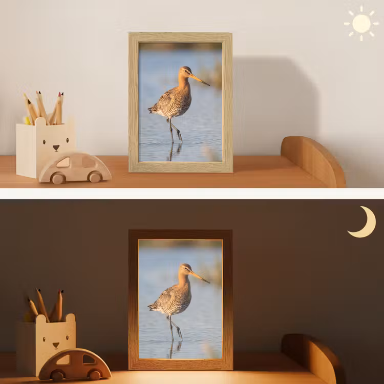Vogel - Steltloper - Water - Natuur Light Box met kabel (Kinderlampje) klein -sfeer3_kind