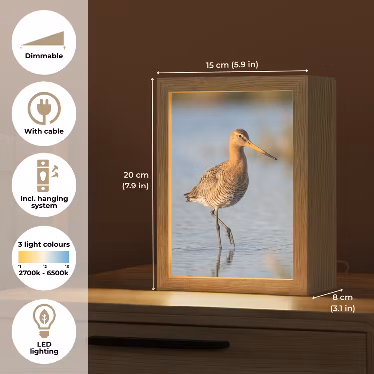 Vogel - Steltloper - Water - Natuur Light Box met kabel (Kinderlampje) klein -USP_EN