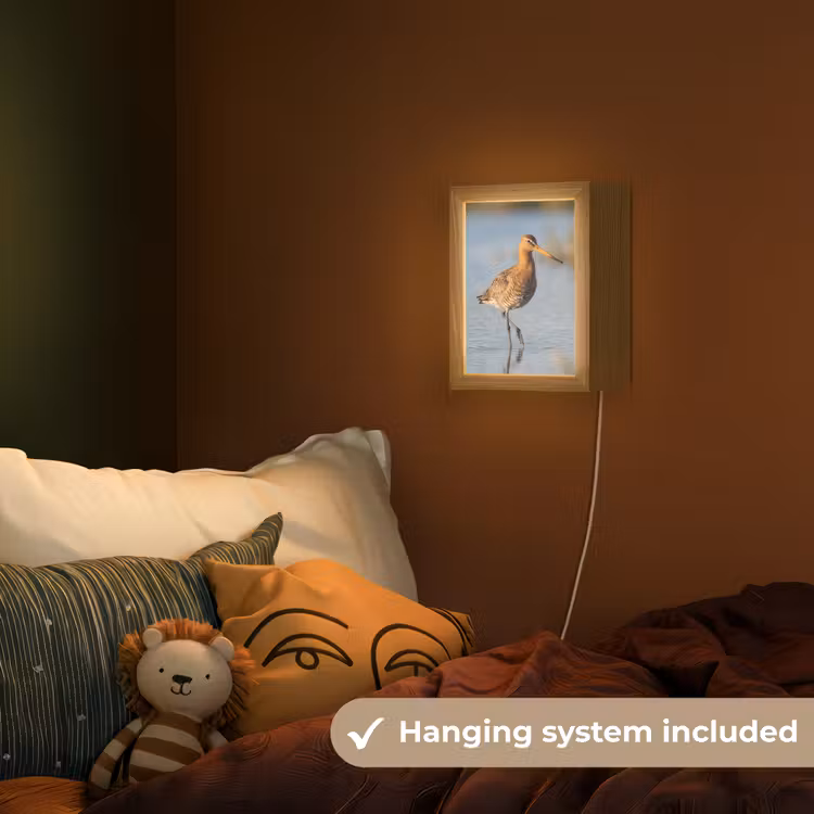 Vogel - Steltloper - Water - Natuur Light Box met kabel (Kinderlampje) klein -sfeer5_kind_EN