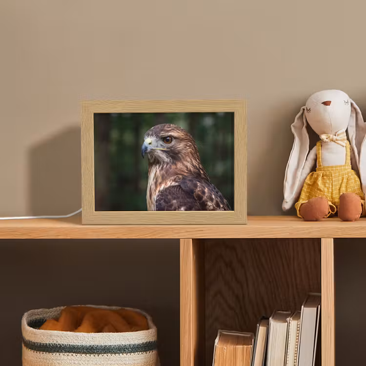 Buizerd - Roofvogel - Natuur - Bruin Light Box met kabel (Kinderlampje) klein -sfeer2_kind