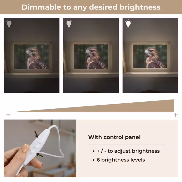 Buizerd - Roofvogel - Natuur - Bruin Light Box met kabel (Kinderlampje) klein -USP_dimbaarEN