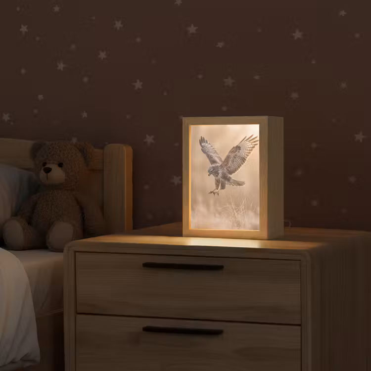 Buizerd - Roofvogel - Natuur - Bruin Light Box met kabel (Kinderlampje) klein -sfeer1_kind