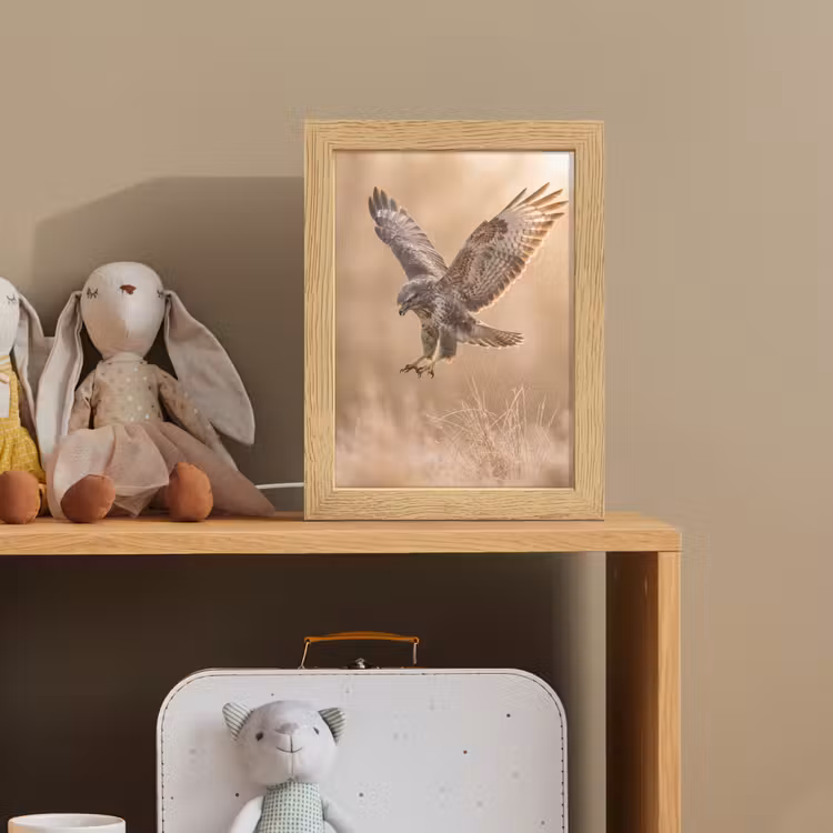 Buizerd - Roofvogel - Natuur - Bruin Light Box met kabel (Kinderlampje) klein -sfeer2_kind
