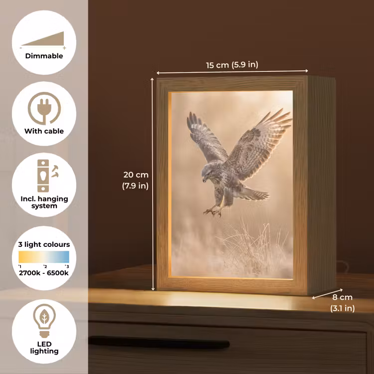 Buizerd - Roofvogel - Natuur - Bruin Light Box met kabel (Kinderlampje) klein -USP_EN