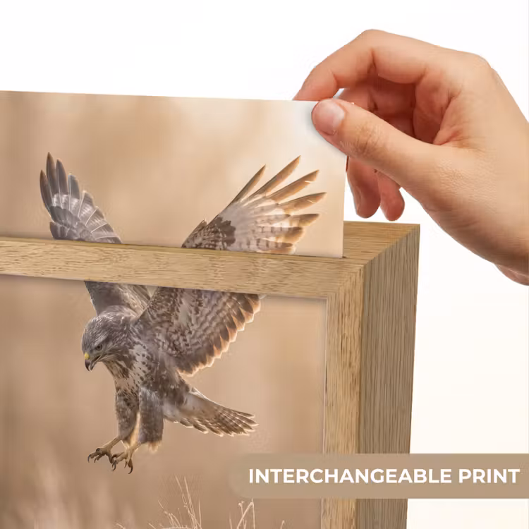 Buizerd - Roofvogel - Natuur - Bruin Light Box met kabel (Kinderlampje) klein -USP_websiteprintEN