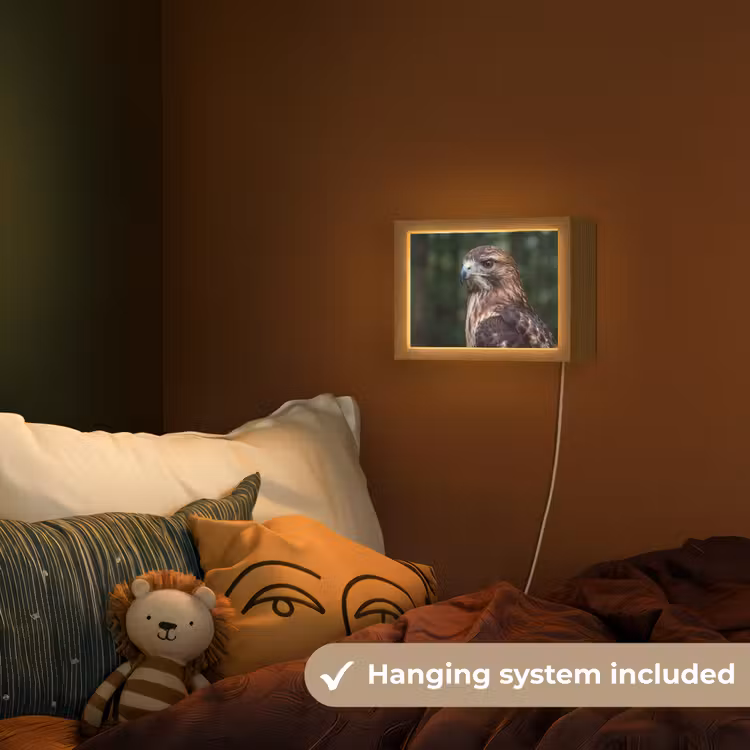 Buizerd - Roofvogel - Natuur - Bruin Light Box met kabel (Kinderlampje) klein -sfeer5_kind_EN