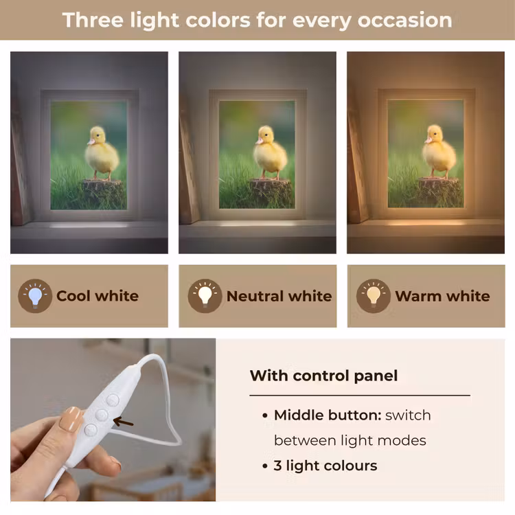 Kuiken - Eend - Geel - Gras Light Box met kabel (Kinderlampje) klein -USP_lichtkleurEN