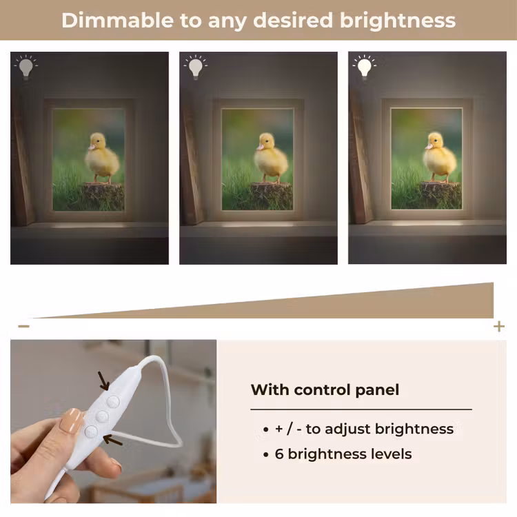 Kuiken - Eend - Geel - Gras Light Box met kabel (Kinderlampje) klein -USP_dimbaarEN