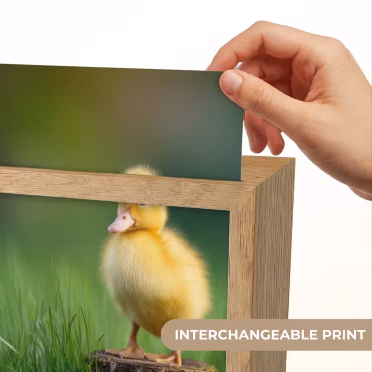 Kuiken - Eend - Geel - Gras Light Box met kabel (Kinderlampje) klein -USP_websiteprintEN