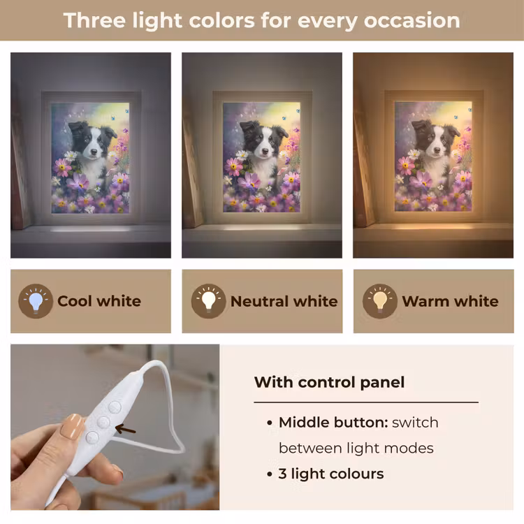 Hond - Bloemen - Natuur - Puppy - Bordercollie Light Box met kabel (Kinderlampje) klein -USP_lichtkleurEN