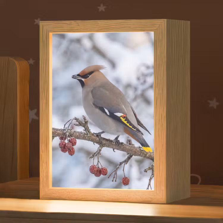 Pestvogel - Bessen - Winter - Natuur Light Box met kabel (Kinderlampje) klein -zzz_3d_website