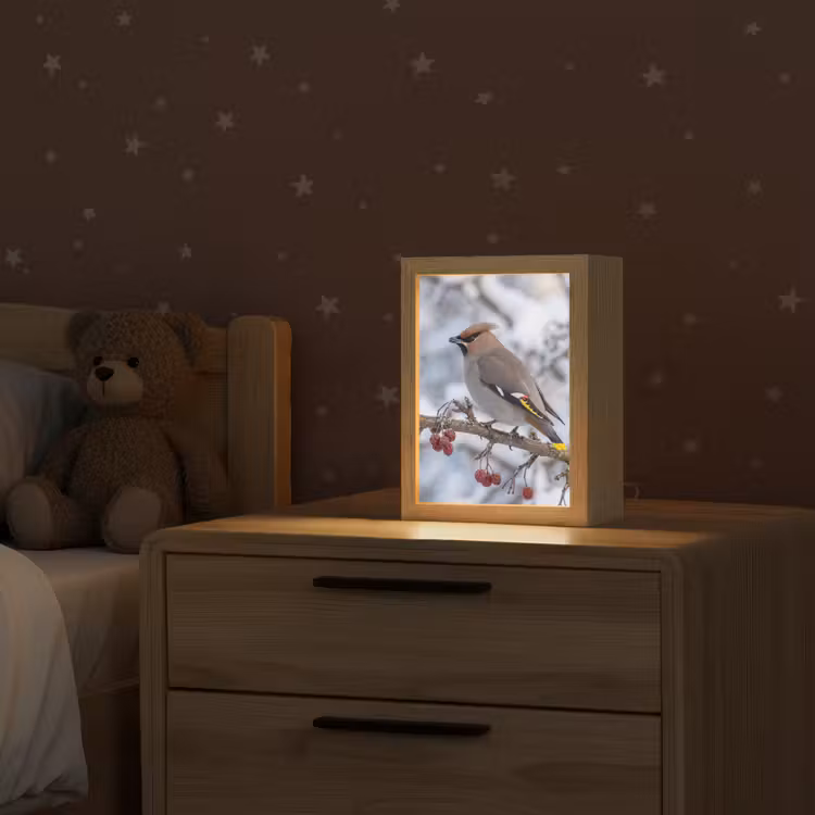 Pestvogel - Bessen - Winter - Natuur Light Box met kabel (Kinderlampje) klein -sfeer1_kind