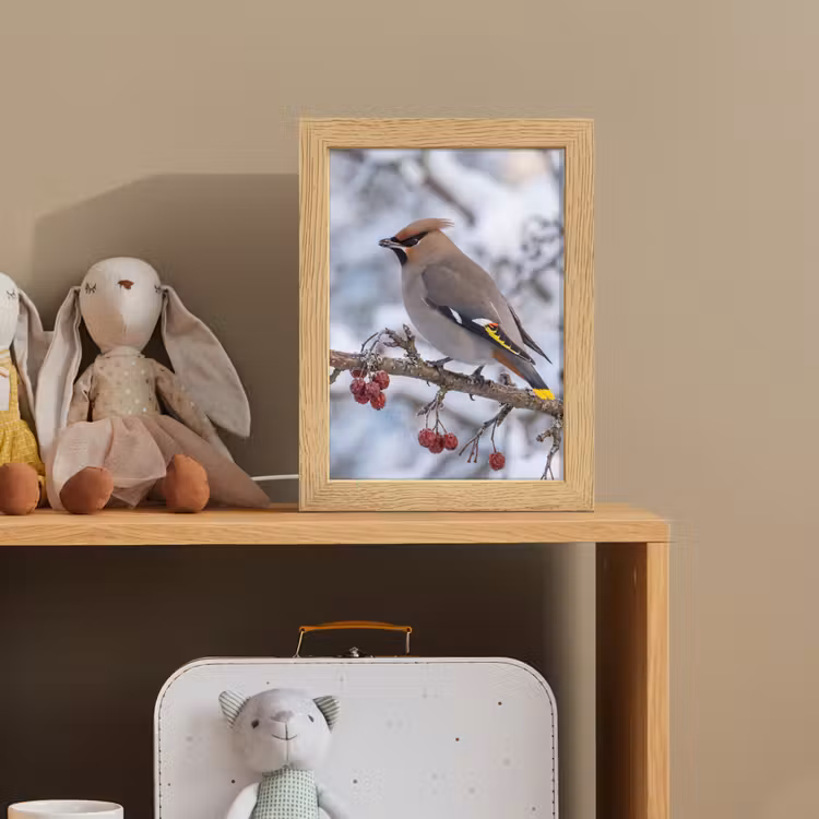 Pestvogel - Bessen - Winter - Natuur Light Box met kabel (Kinderlampje) klein -sfeer2_kind
