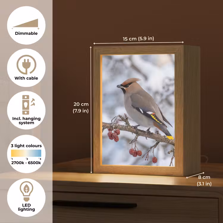 Pestvogel - Bessen - Winter - Natuur Light Box met kabel (Kinderlampje) klein -USP_EN