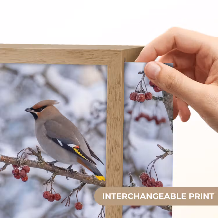 Pestvogel - Bessen - Winter - Natuur Light Box met kabel (Kinderlampje) klein -USP_websiteprintEN