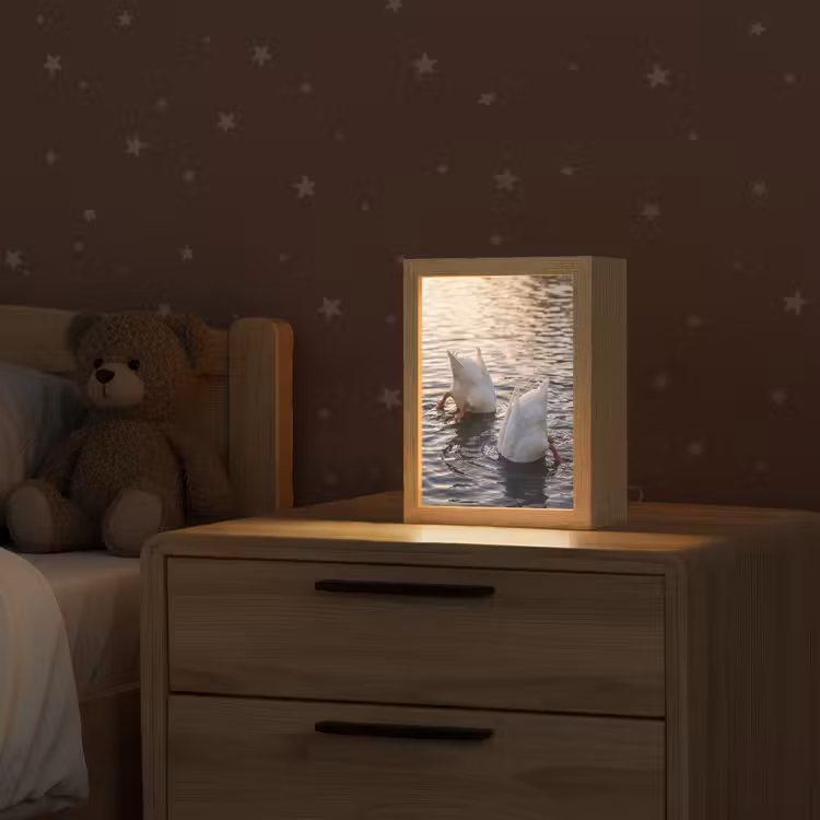 Eenden - Water - Natuur Light Box met kabel (Kinderlampje) klein -sfeer1_kind