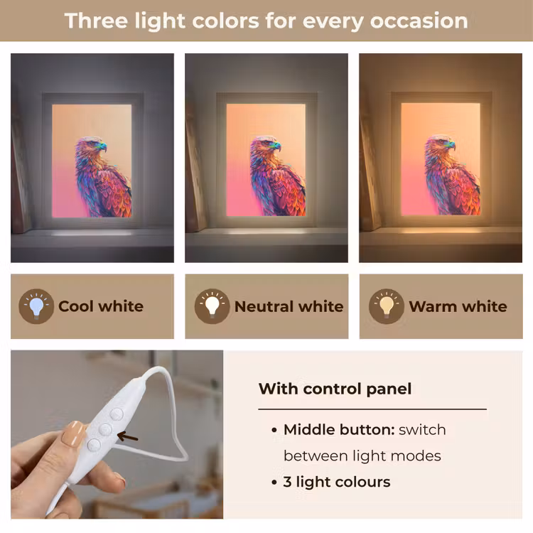 Arend - Vogel - Kleurrijk - Dier Light Box met kabel (Kinderlampje) klein -USP_lichtkleurEN