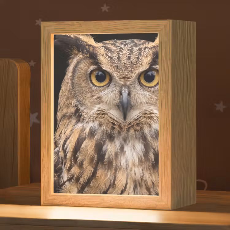 Oehoe - Uil - Portret - Bruin Light Box met kabel (Kinderlampje) klein -zzz_3d_website